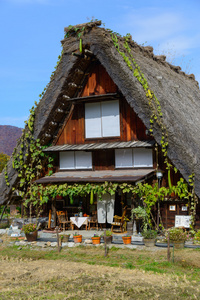 历史村庄的白川方明走在秋天