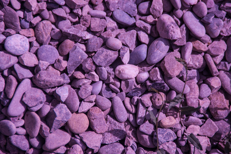 紫色母岩