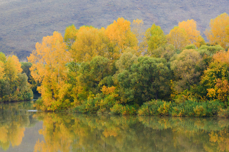 秋季景观与河