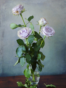 粉玫瑰瓶花在一个玻璃花瓶粉色玫瑰照片