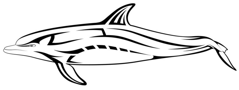 海豚 纹身