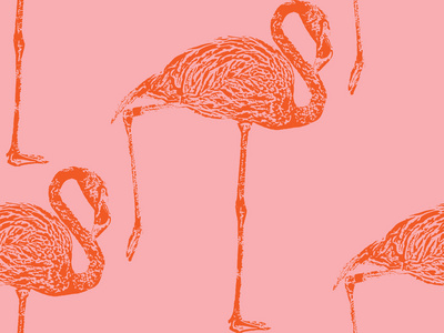 粉红色的火烈鸟的插图