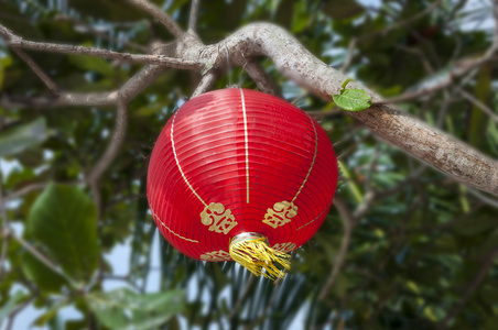 中国新年装饰