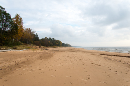 海岸沙丘海滩图片