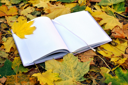 一本空白笔记本覆盖着秋天的落叶