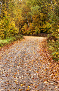 秋天的色彩和路