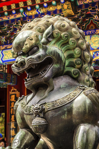 龙青铜雕像屋顶颐和园北京，中国