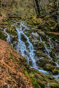 瀑布从生苔的岩石在维托沙山