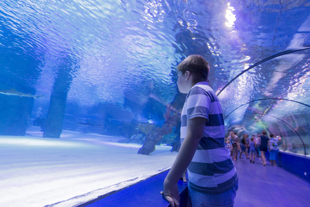 9 月 1 日在土耳其安塔利亚，2014年人在水族馆。它是最长的世界全景隧道与得体回味悠长 131 米