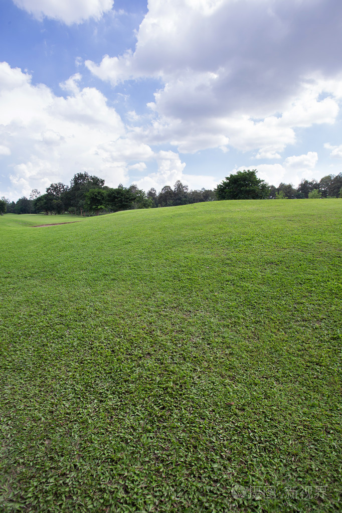 高尔夫球场绿草田在公园里的草坪