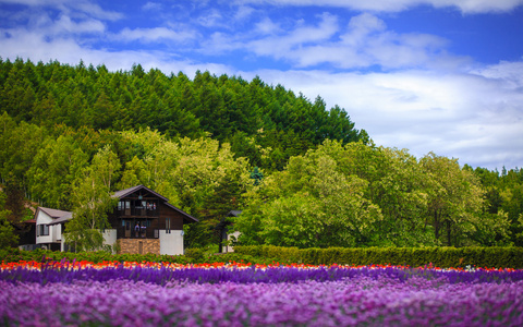 云的天空，北海道富良野市下花田