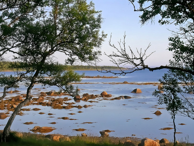 白海海岸