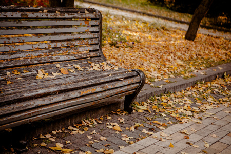坐在秋天公园长椅