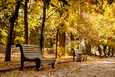 在秋天的公园长椅上的行
