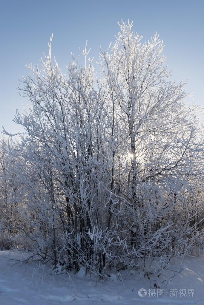 风景如画的大自然在俄罗斯北部在冬天