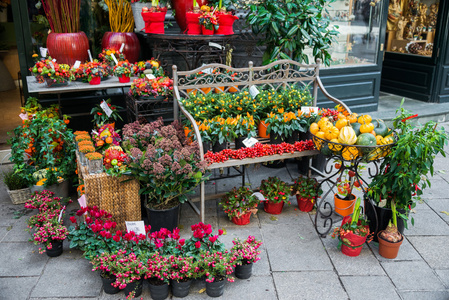 街头鲜花店与五颜六色的花