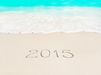 新的一年 2015 年海洋沙滩上