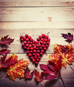 叶子和果实作为一颗心