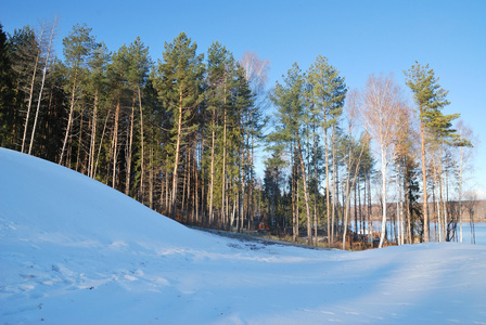 森林和河流伏尔加河从冷冰冰的秋日势能市一座小山的顶部视图