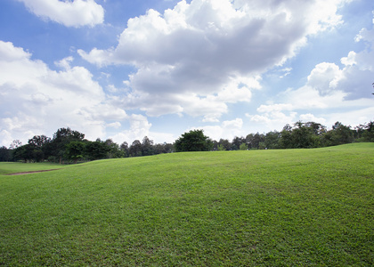 高尔夫球场，绿草田在公园里的草坪
