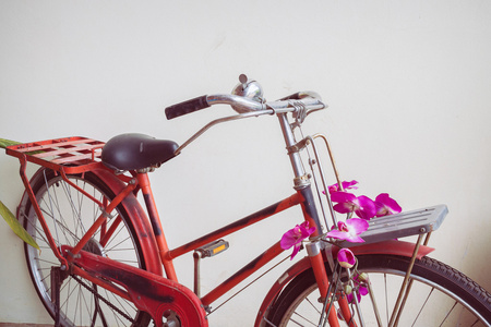 经典的老自行车装饰着粉红色的花