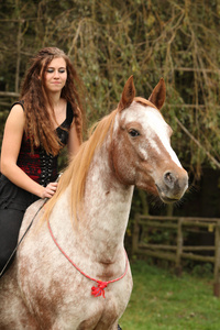漂亮的女孩骑着马无需任何设备