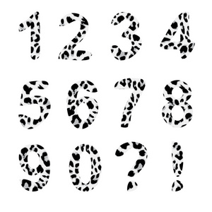 矢量字母数字，时尚豹子图案