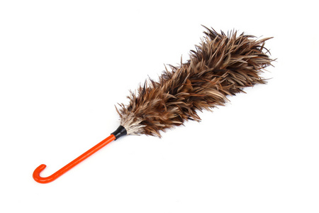 羽毛扫帚图片