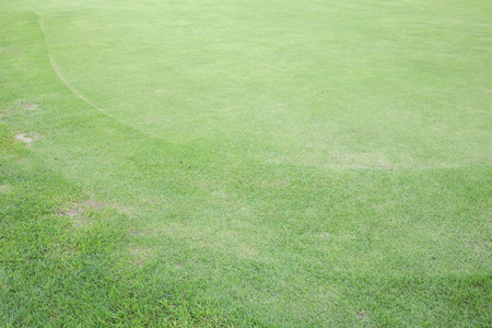 绿草领域的高尔夫球场，体育背景