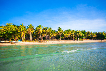 完美的白色海滩，碧绿的水与大棕榈海滩上