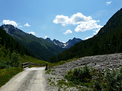 阿尔卑斯山