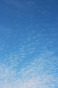 地平线上的云景和白云