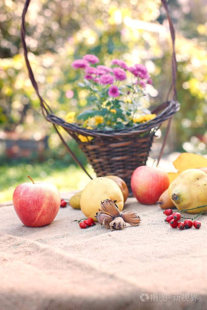 秋天的果实-秋天收获