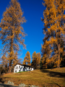 小房子和秋季景观