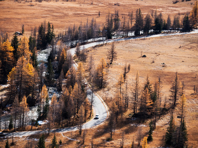 山区公路旁边高山洪流在秋天图片