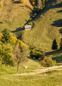 罗马尼亚农村农村景观