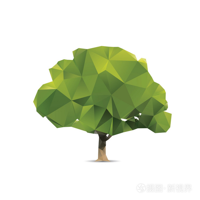 树抽象孤立在白色背景上
