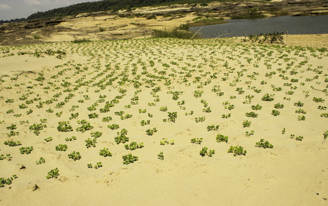 Sampanbok 湄公河流域