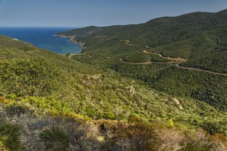 中央马其顿 Ampelos，Chalkidiki，，遮阳伞和曼巴海滩