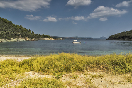 中央马其顿 Vathi 海滩，Chalkidiki，遮阳伞和