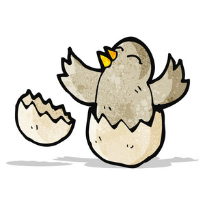 孵化鸟卡通孵化雏鸟照片