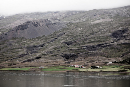 冰岛的景观 农场在雾山