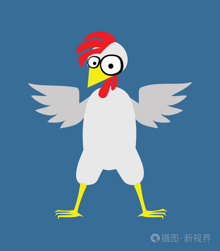 红红的鸡冠大鸡