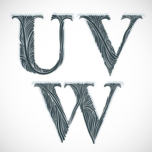 复古字母 u v w