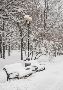 冬季公园覆盖着白雪。顿涅茨克。乌克兰