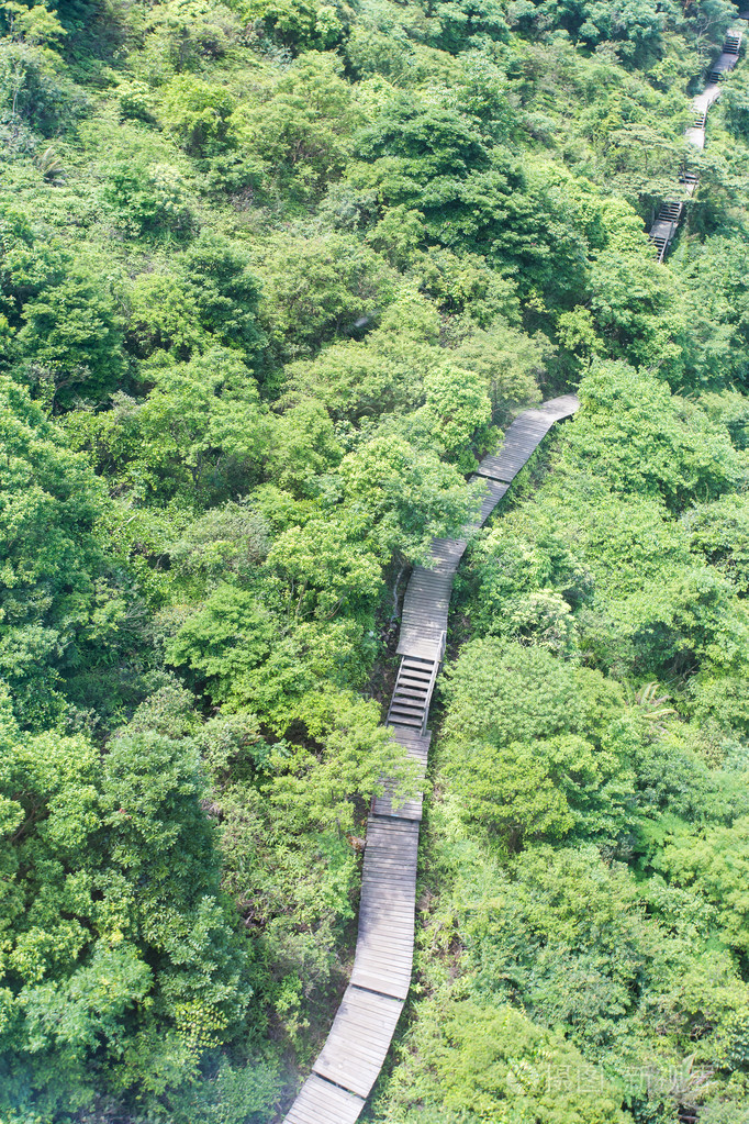 绕组森林木栈道走道
