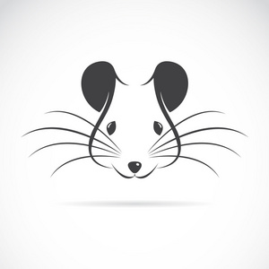 矢量图像的老鼠头照片