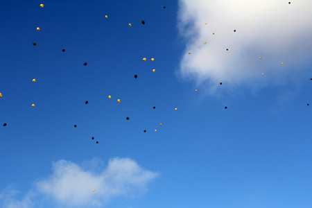 黄色和黑色的气球在天空中