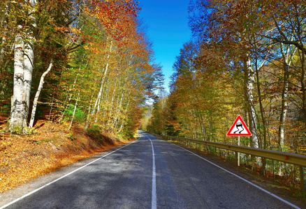 道路