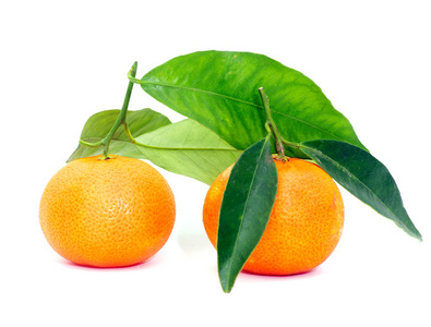 新鲜橘